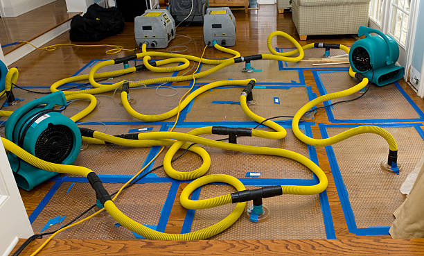 Professional Flood Damage Restoration technician working in San Diego, CA